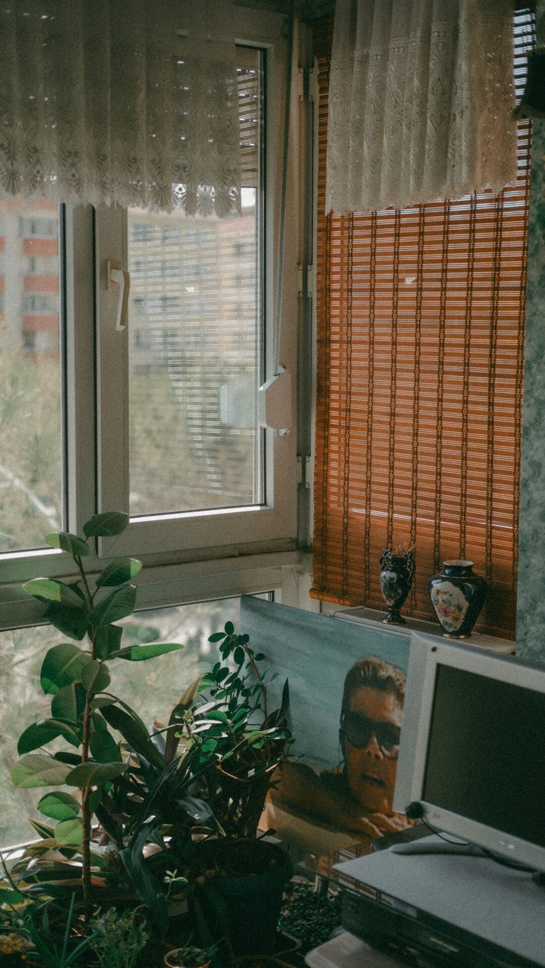 Desk near a window with laptop and green plant